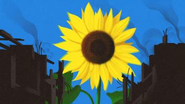 Drawing with a Sunflower - © @SamIllustration
