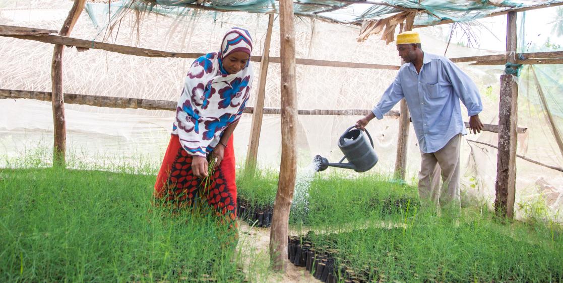 Agriconnect Zanzibar