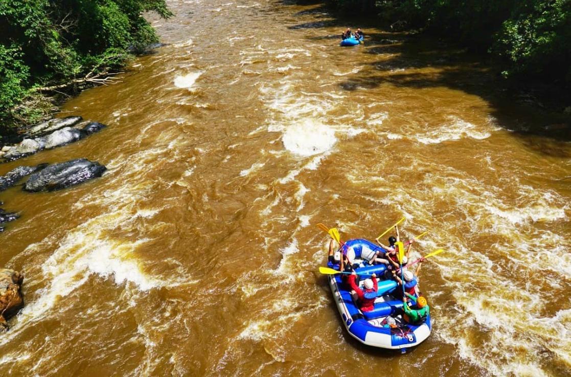 Caguán Expeditions, propuesta turística apoyada por el proyecto Amazonía Jovén Caquetá, ejecutado por CORPOMANIGUA en asociación con SENA, Vicariato apostólico de San Vicente del Caguán, Acción Cultural Popular ACPO, las Alcaldías de Cartagena del Chairá, Puerto Rico y San Vicente del Caguán.