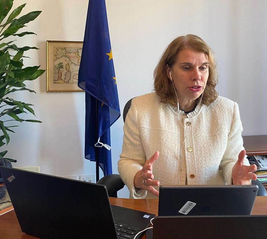 Alexandra Valkenburg on video event of FAO