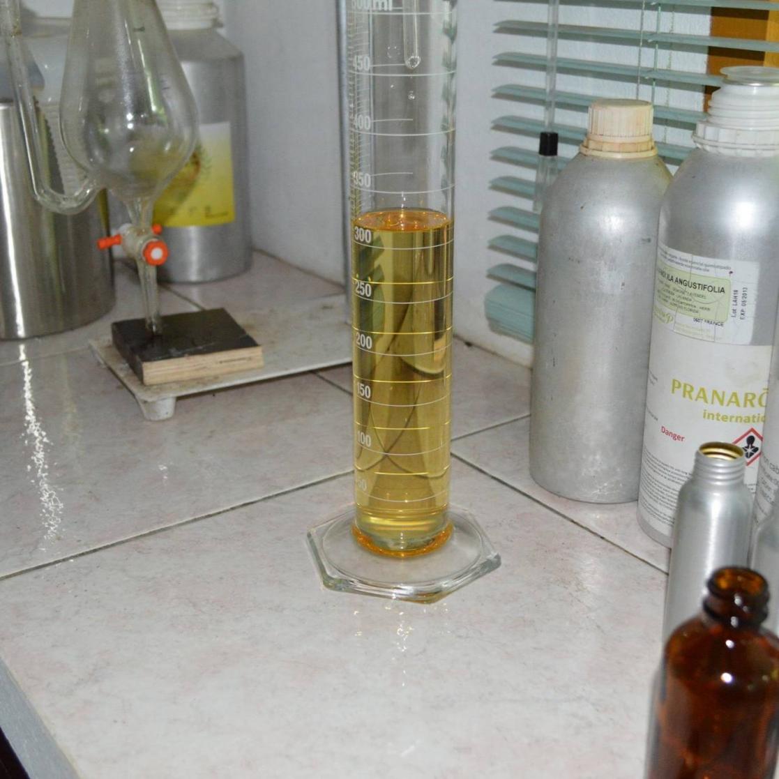 Globarom Essential oil