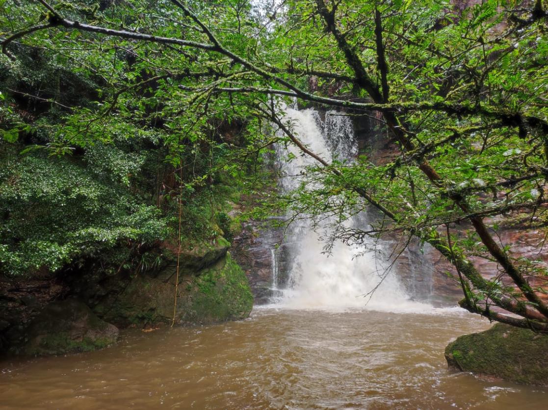 Sendepaz, propuesta turística apoyada por el proyecto Macarena sostenible con más capacidad para la paz - Mascapaz, ejecutado por el Instituto Sinchi en asociación con la Gobernación del Meta, la Asociación de Infraestructura del Meta, CORDEPAZ, CORMACARENA y CORPOAMEM.
