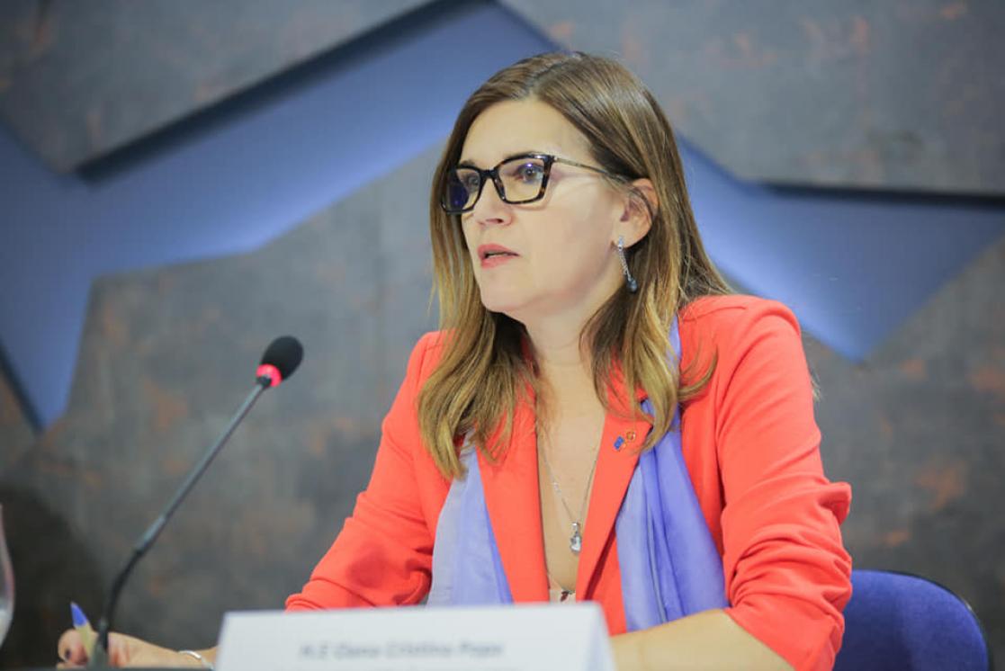 EU Ambassador Oana Cristina Popa