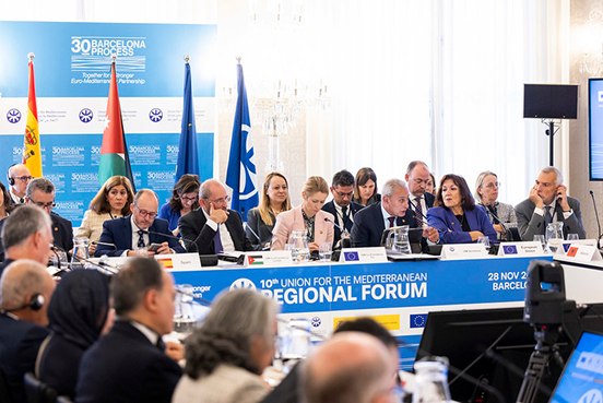 Union for the Mediterranean