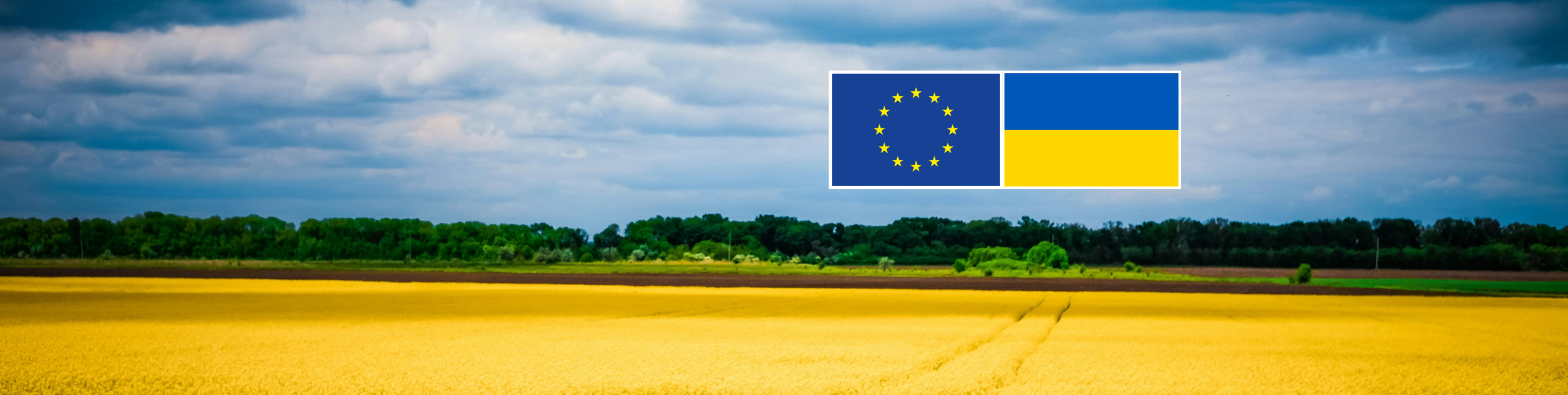 Four Years of War in Ukraine web banner