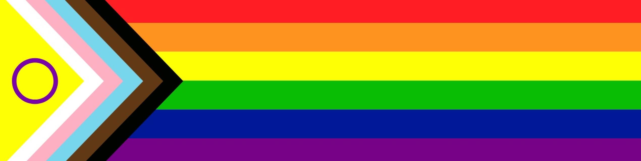 Pride Progress Inclusive Flag web banner