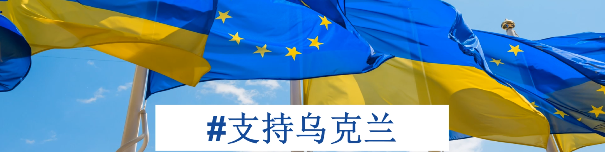 Support Ukraine