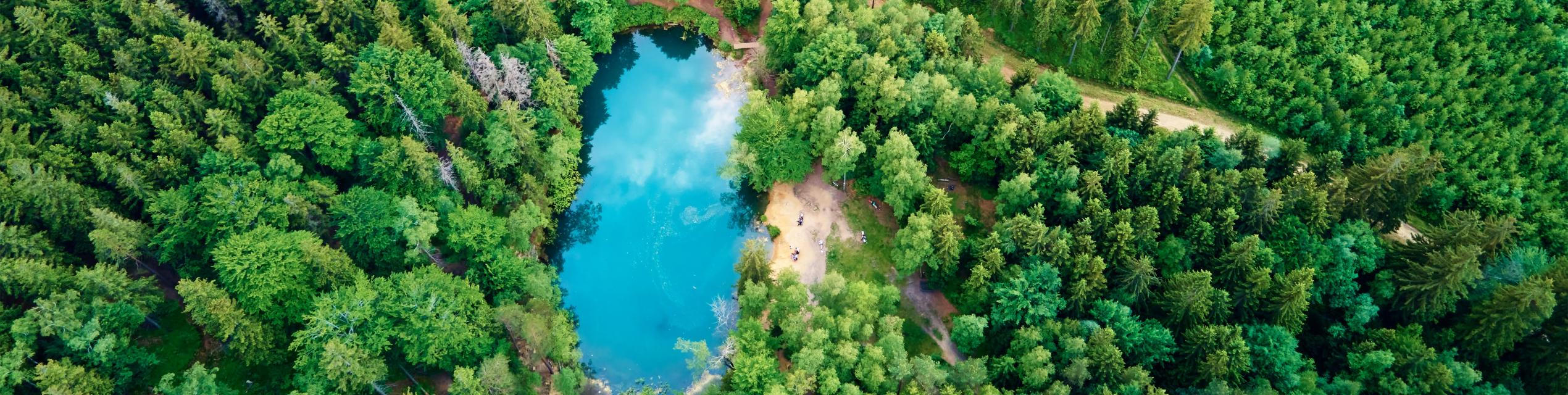 Aerial view of forest and lake (Envato)