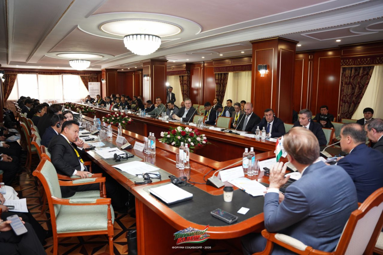 EU supported PPP Forum