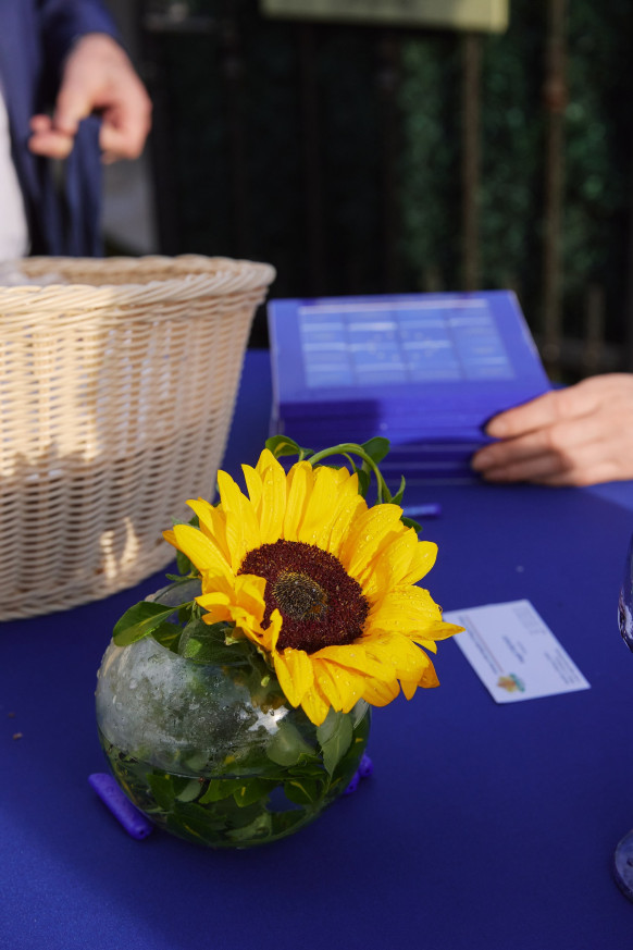 Europe Day 2026 Event