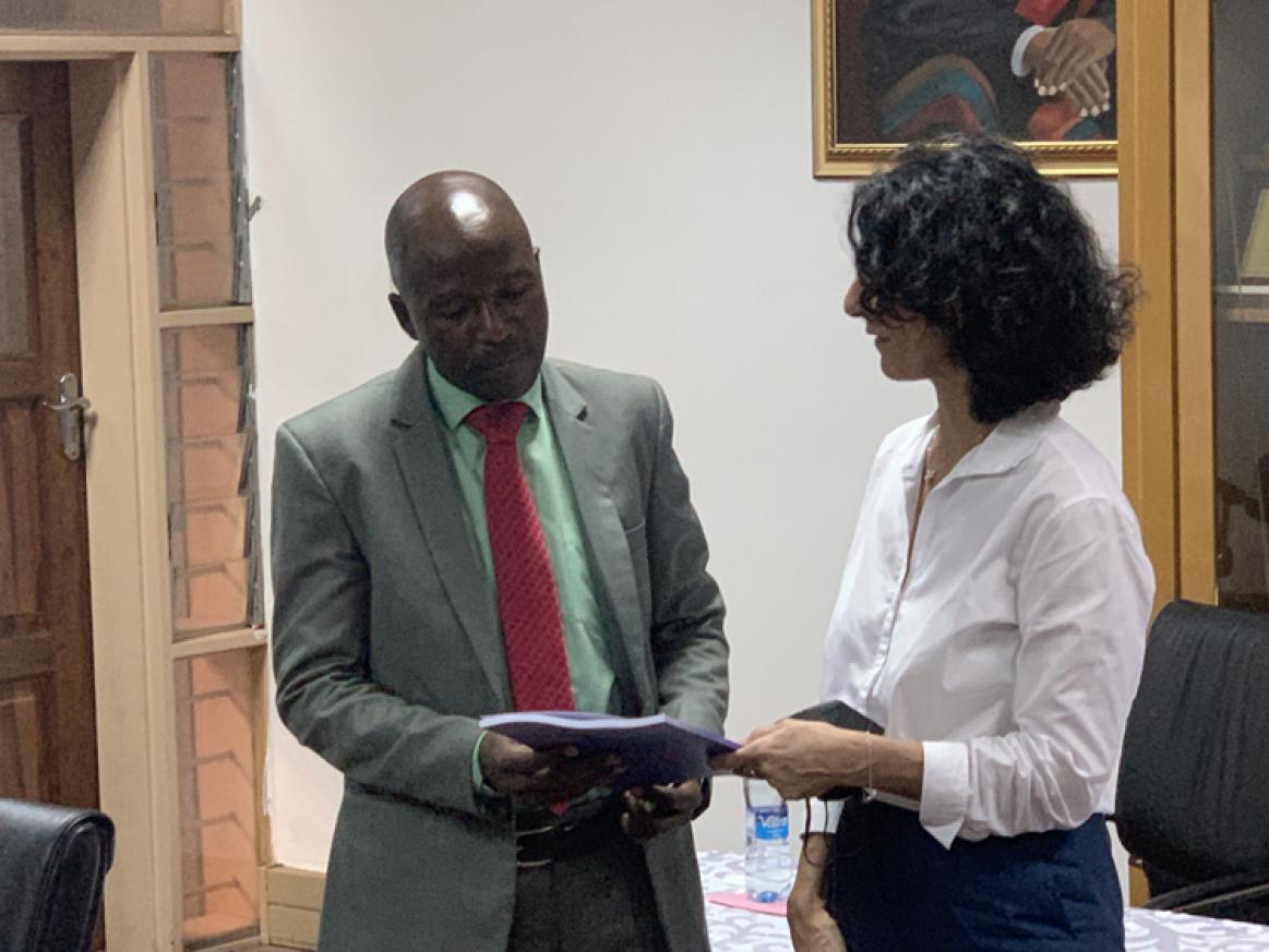 chief observe report chair legal committee 