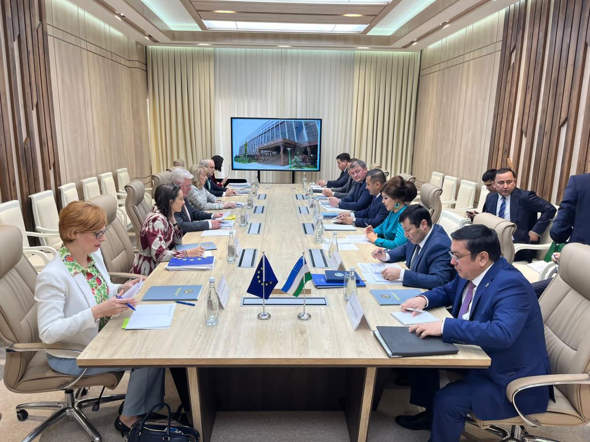 Uzbekistan: EU Special Representative for Central Asia and EU Special Representative for Human Rights with the Deputy Minister of Interior 