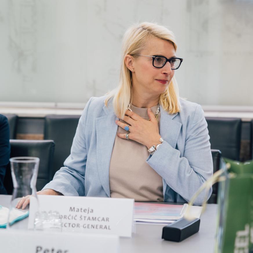 Welcome address by DG for Political Affairs, Mateja Norčič Štamcar, MFEA in Ljubljana