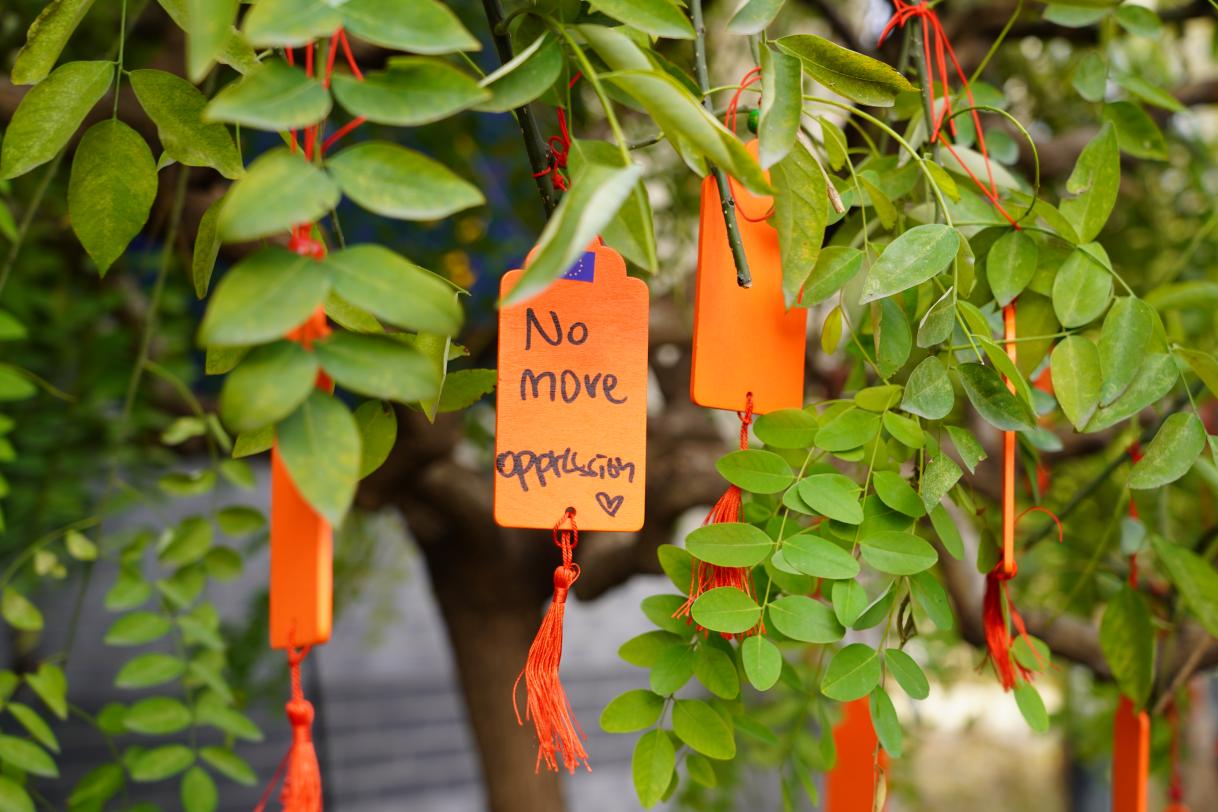 20241125_DELCHN_OrangeDaySolidarityTree (20).JPG