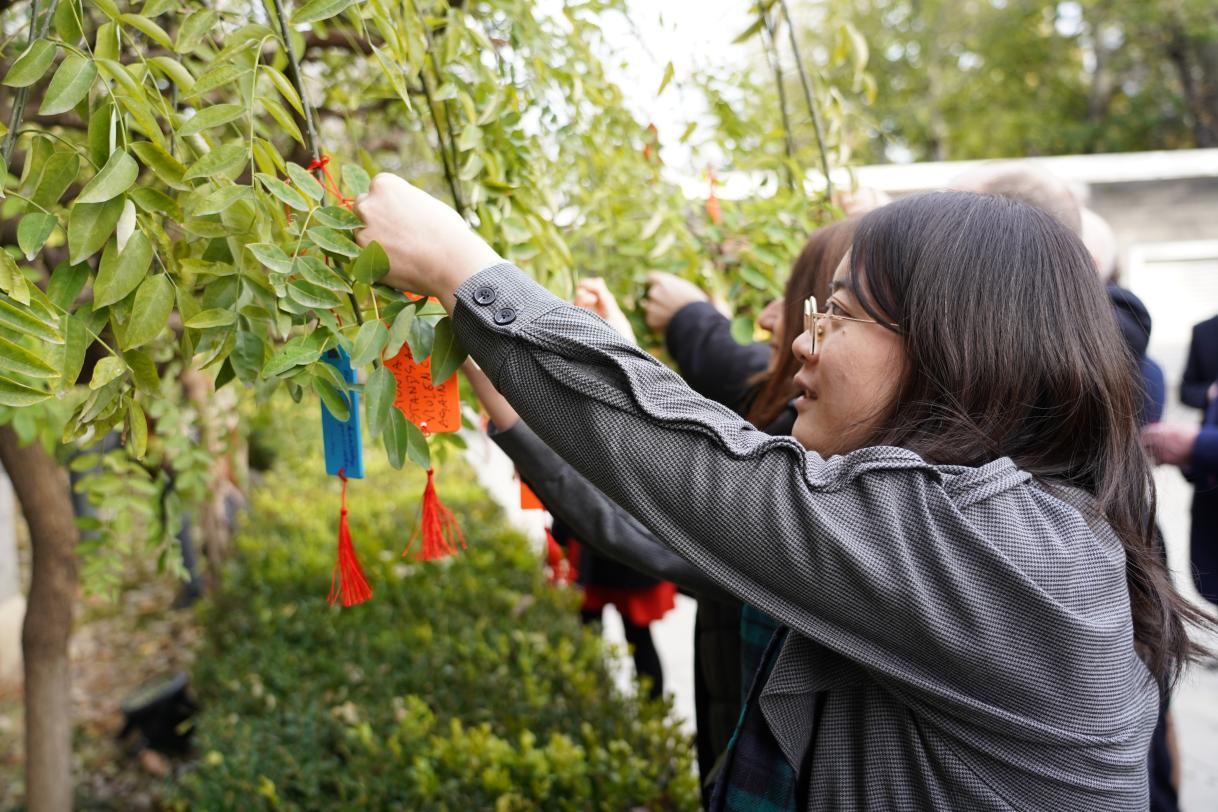 20241125_DELCHN_OrangeDaySolidarityTree (29).JPG