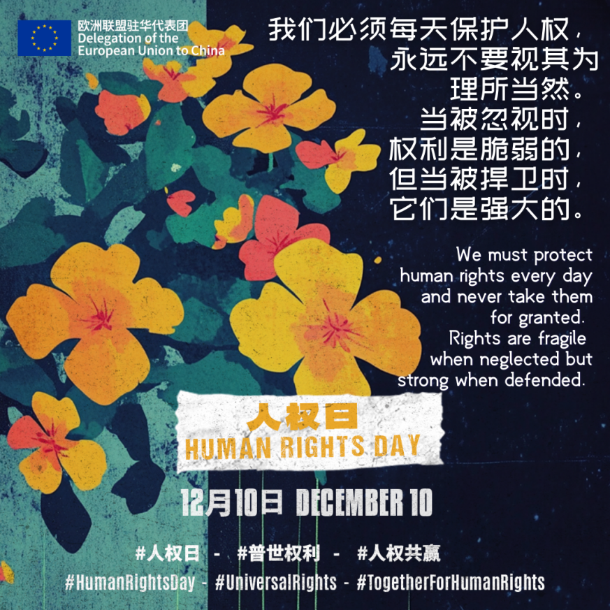 20241210_HRD_Social Media Card (4).png