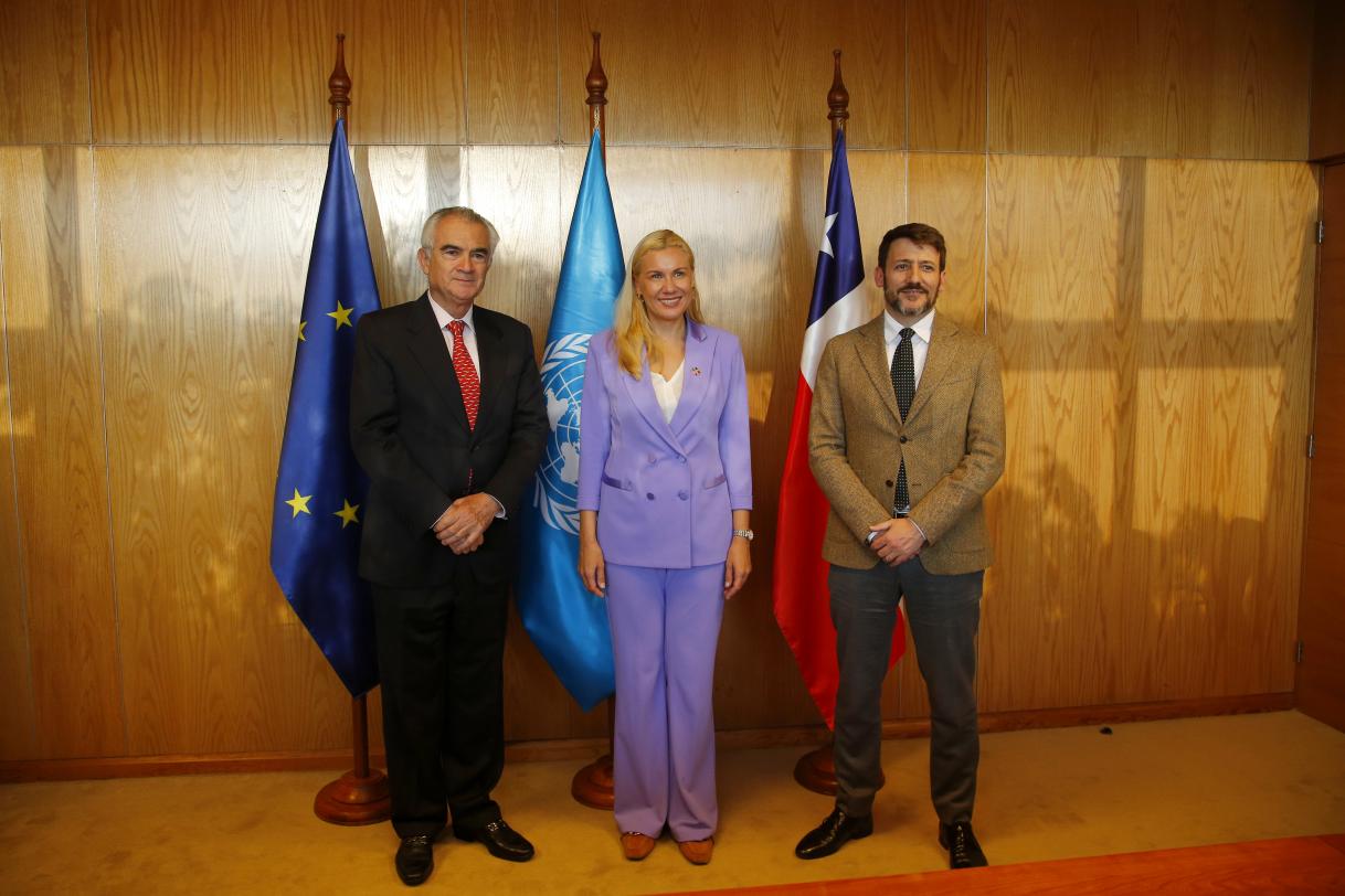 Foto ofical Comisaria Sec. Ejecutivo CEPAL Min Energía