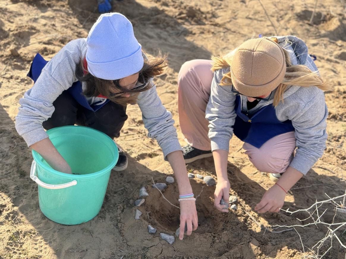 Volunteers planting a saxaul