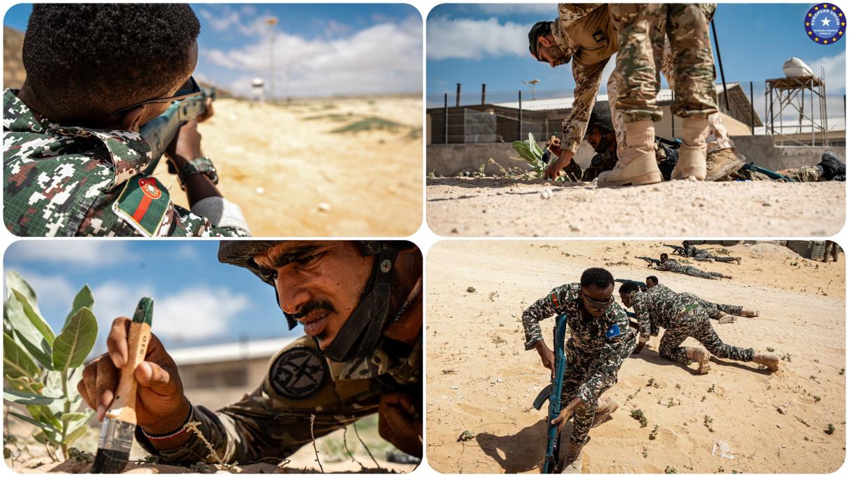 VTC Panel with Dutch MoD