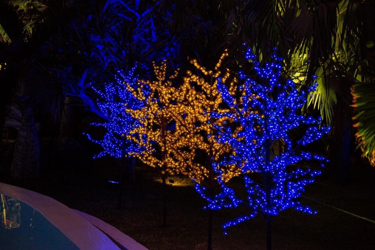 Europe Day 2022 in Mauritius 