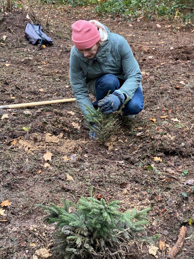 Tree planting #ForOurPlanet Belgium_Tervuren 