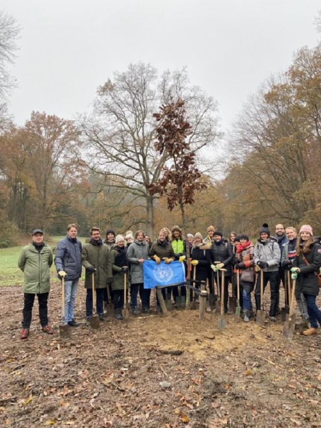 Tree planting in Belgium