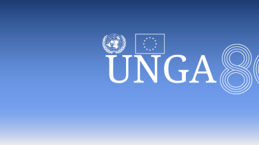 UNGA80 web banner