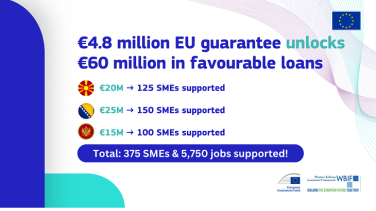 Visual with the following text: €4.8 million EU guarantee unlocks €60 million in favourable loans