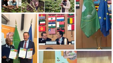 Cssr at FAO