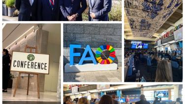 Ms at FAO