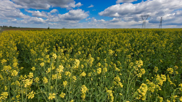 European Union, 2025