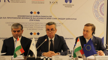 EU Ambassador at the International Conference on the Ratification of OPCAT