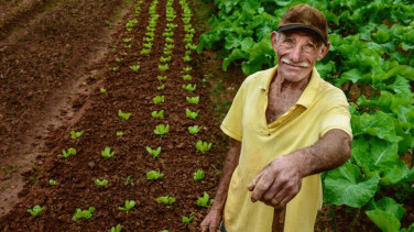 Uno de los agricultores panameños que forman parte del programa de CFE.