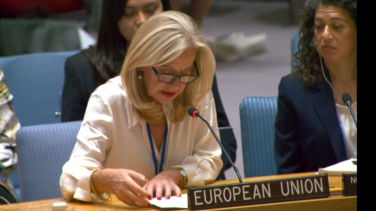 Ambassador Stella Ronner Gubracic at Security Council