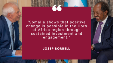 HR/VP Josep Borrell meeting with President of Somalia