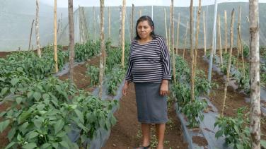 Mujeres Rurales_Honduras