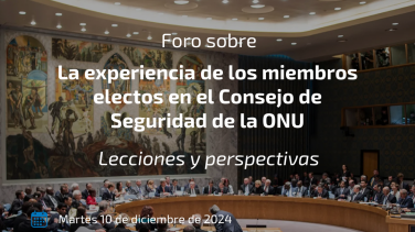 Miembros electos UNSC