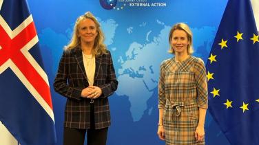 Minister for Foreign Affairs, Thorgerdur Katrin Gunnarsdottir, and HRVP Kallas in Brussels 15.01.202