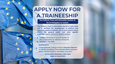 advertisement for a traineeship at the EU Delegation to Iceland
