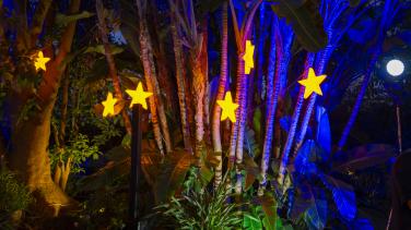 Europe Day