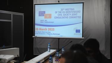 Banner of the EU-Montenegro Civil Society Joint Consultative Committee