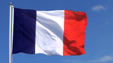 fr flag
