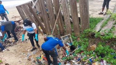 Volunteers cleaning the beach 