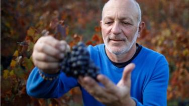 Man with grapes