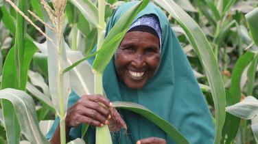 Many farmers in southern Somalia’s Marka district rely on rainwater for farming