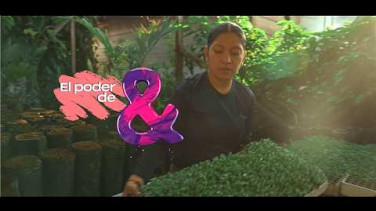 El Poder de &: Empoderamiento de las mujeres