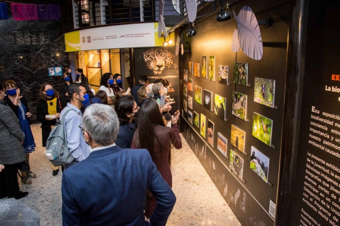 Visitors at a photo exhibition
