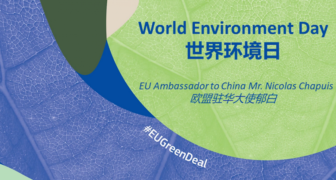 World Environmental Day banner
