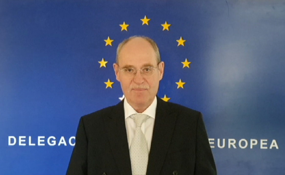 Man with an EU flag in the background