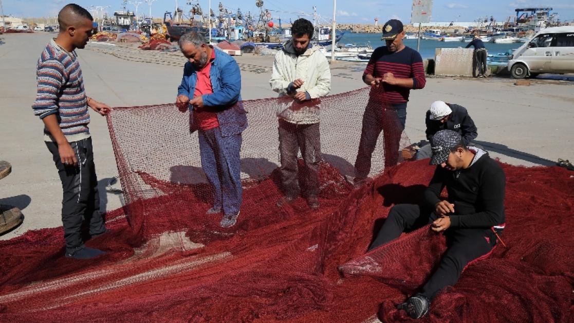 people working at the port 